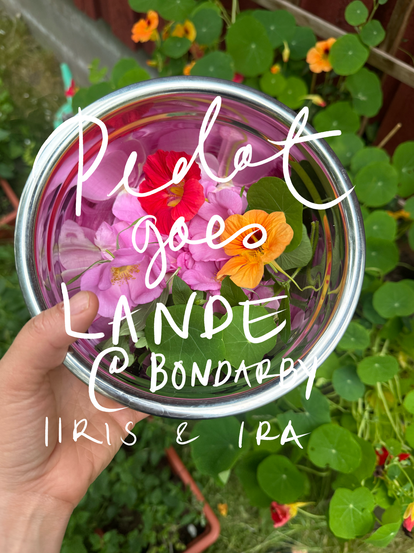 Sadonkorjuupidot Bondarbyssä 5.9. klo 10 - Pidot x Iiris & Ira