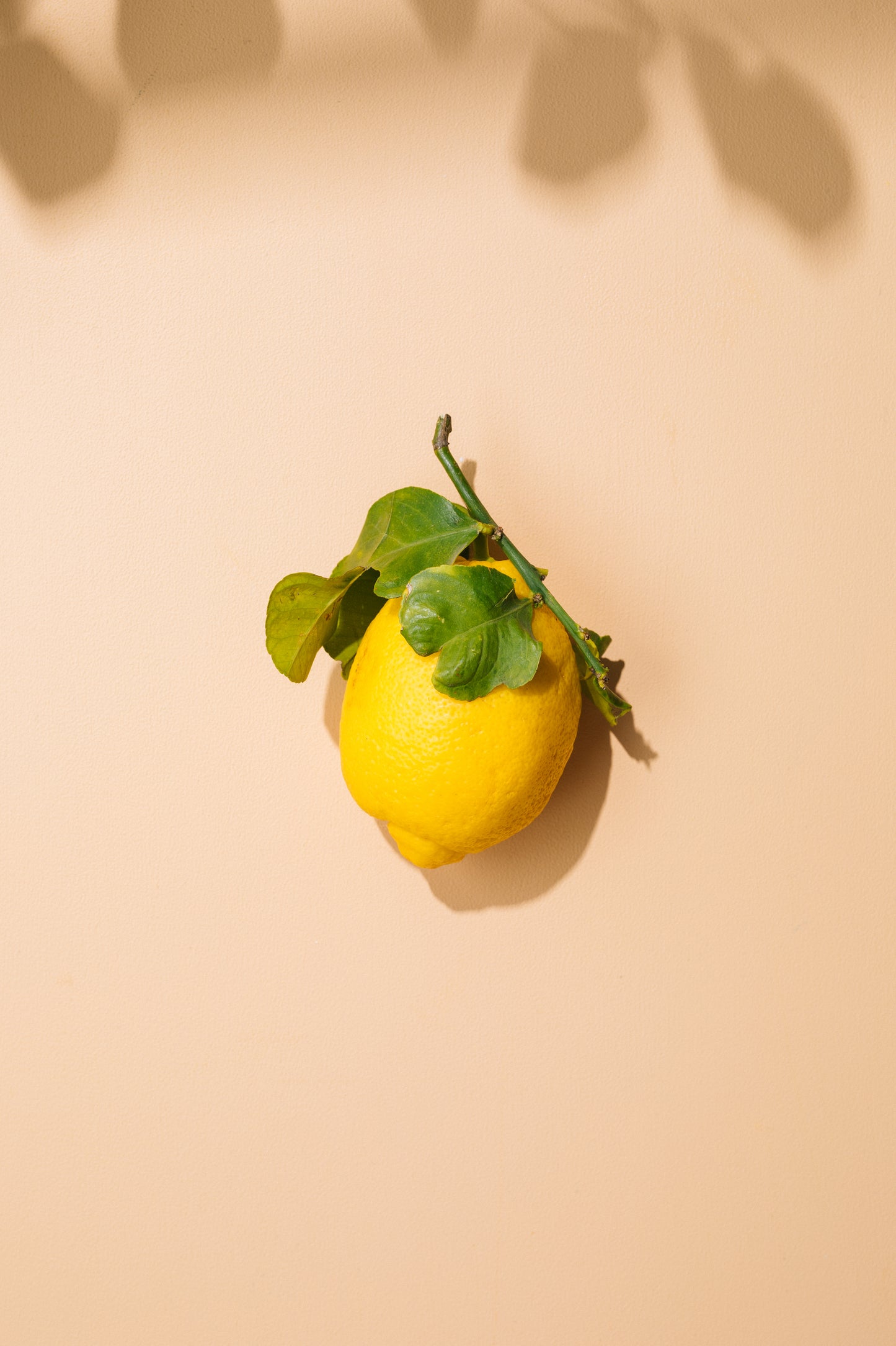 Sisiliapidot la 24.1. klo 11